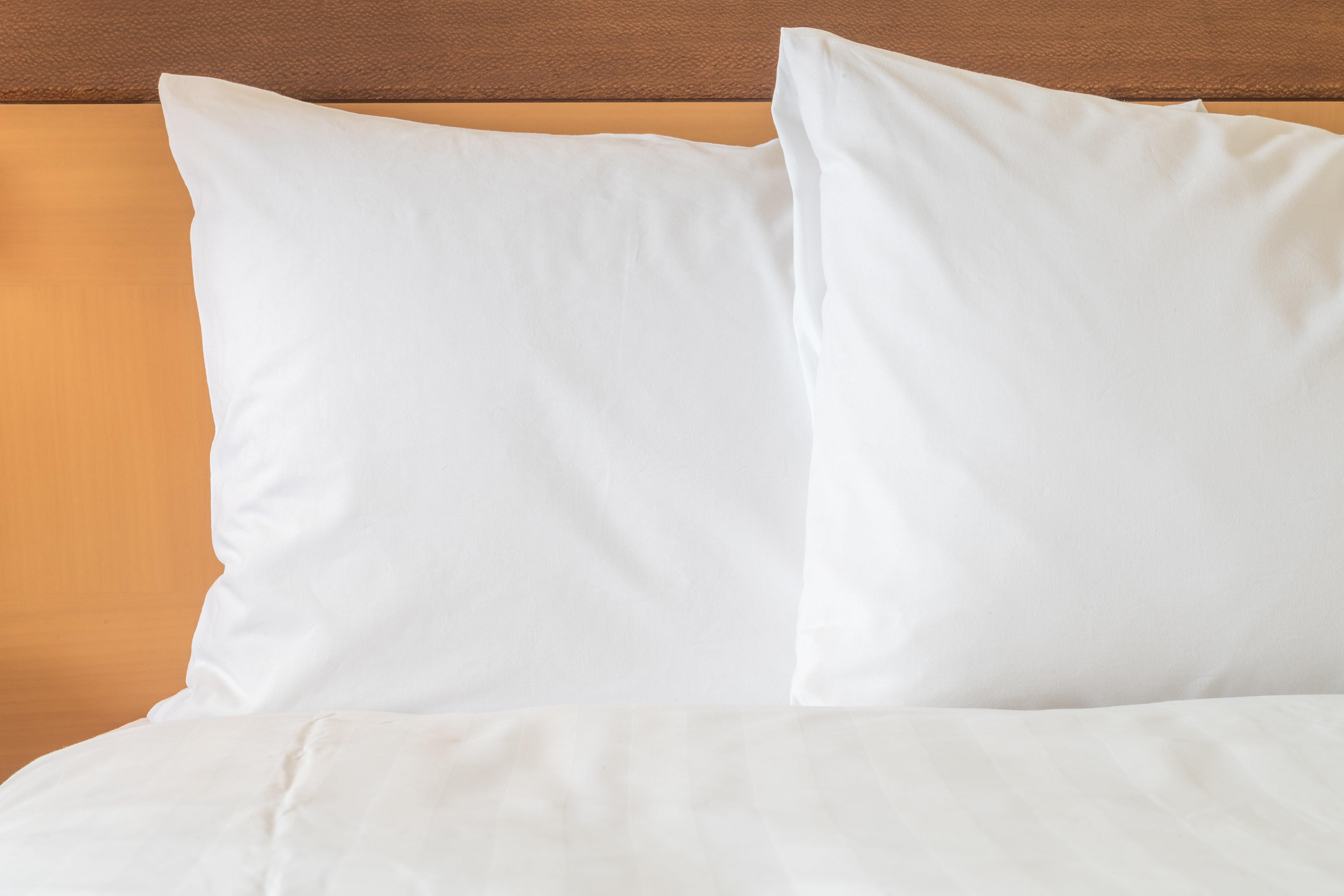 Holiday Inn & Suites Clearwater Beach S-Harbourside 외부 사진