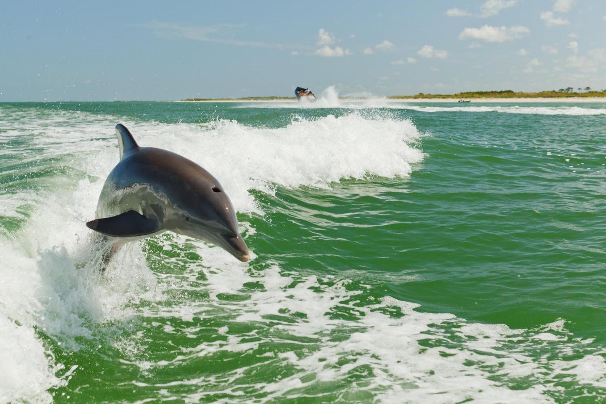 Holiday Inn & Suites Clearwater Beach S-Harbourside 외부 사진